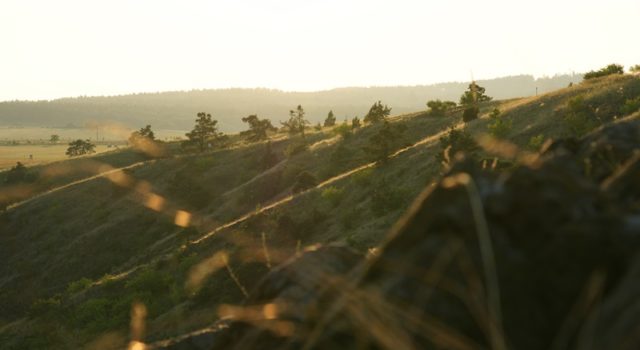 MOHELENSKÁ HADCOVÁ STEPPE