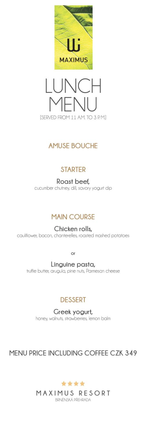 Lunch menu IX