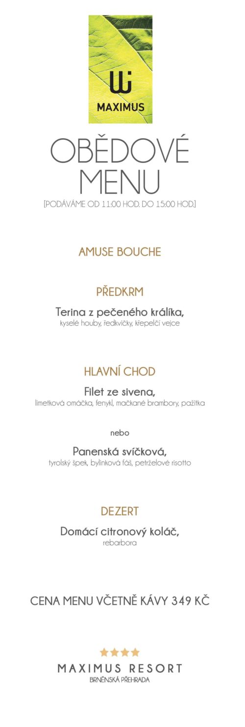 Obědové menu VIII