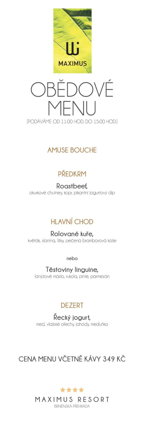 Obědové menu IX