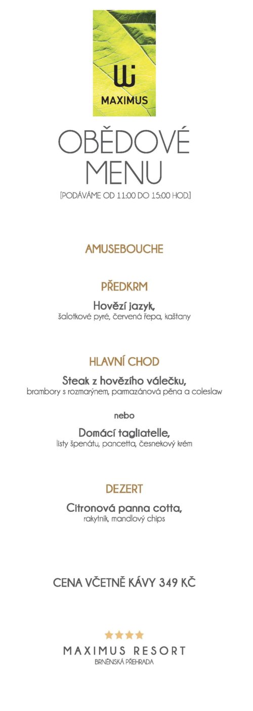 Obědové menu V