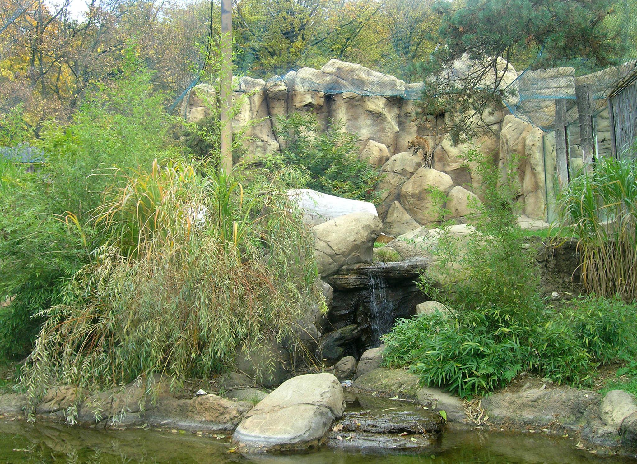 zoo brno